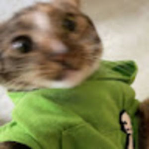 Meet your Posher, Jakelyn